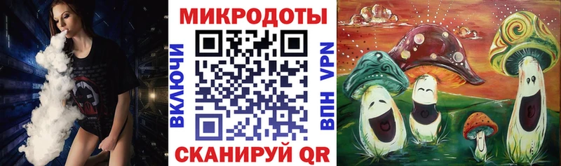 Галлюциногенные грибы Psilocybe  Новое Девяткино 